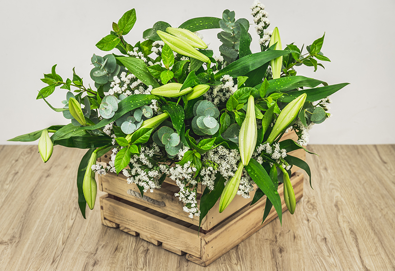 Corporate office flowers 10