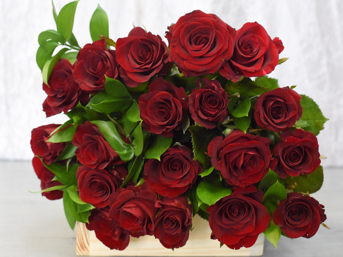 Red Roses Mix Bunch